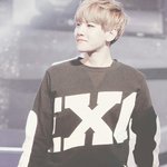 [exo] 맥신쿠인스타