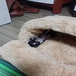 <b>개편</b>한 세상~~