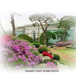 시온을 건설하신 하나님(하나님의 교회,안상홍님)