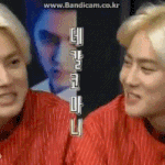 [EXO] <b>사슴</b>응가를 싹!치워버리고