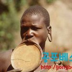 [<b>아리</b>] 특이하고 엽기적인 미의 기준