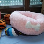 우리집 할<b>아방</b>탱이 마약방석 이용법