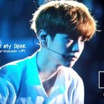 [EXO] 글고 루한이가 웨입오에 지생존신고했더라도