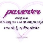 재앙이 넘어가는 유월절