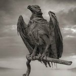 [아리] <b>동물</b>이 돌이 되는 호수