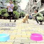 [아리] 개랑 개<b>사료</b> 먹기 배틀