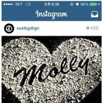 [지디] 지드래곤이 마약 molly를 알았을것 같은 이유