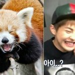 [EXO] <b>시우</b>밍인스타업뎃!!