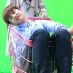 [EXO] 경수는 망태기짤 <b>대신</b> 카트짤 쓰자