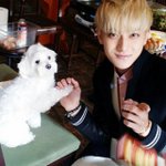 [EXO] 판에있을수록짤줍을하는<b>횟수</b>가늘고