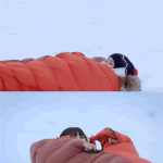 [에이핑크] 나은&amp;<b>은지</b>  애벌레  ㅋㅋㅋㅋㅋ