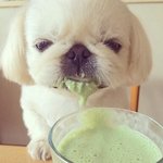 [EXO] 과자 없어진거존나많음