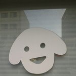 [댓글부탁] <b>코</b>인지 <b>입</b>인지 알려줘요