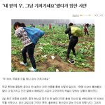 [추억파리여] 대륙의 <b>무료</b> 나눔 스케일