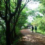 [<b>대전</b>에 가볼만한곳] 계족산황토길