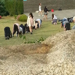 여자들이 군대 가도 되는 이유.jpg
