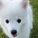 [망나니] #나니의성장기2