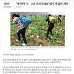 [펌질] <b>대륙</b>의 나눔