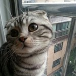 <b>랄프</b>를 소개합니다.