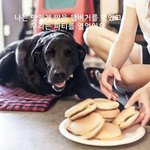 세상에서 가장 아름다운 하루