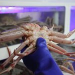  서초동레스토랑 # 크래버 <b>대게</b>나라입니다요~