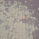 [EXO] 갈치왔옹~육개장먹고 배불러서 <b>집주변</b> 돌다옴