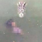 [추억파리여] 악어 사는 연못에..자살 女 충격