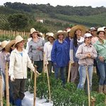 [추억파리여] 여자만 600명 모여 사는 女인국