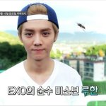 [EXO] 루한이 정말 귀여워서 토하겄소