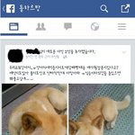 [댓글부탁] 어제 담배빵강아지 학대사건 꼭좀 도와주세요 !!!!