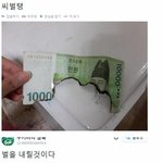[베스트<b>클릭</b>] 만원을 홀랑 태워버린 고양이 벌주기