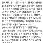 [베스트클릭] 덜 잔인한 뉴트리아 섬멸 방법