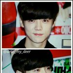 [루한] 우리 <b>사슴</b>아