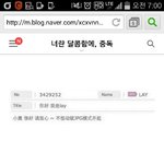 [루한] 이거 레이<b>가루</b>한말한거야??