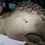 [EXO] 스엠<b>공식</b>입장<b>뜸</b>...시발..배신감쩐다