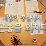 세상의 <b>중심</b>에서 곤충을 외치다
