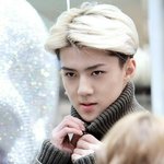 [EXO] 루둘기가 <b>수입</b>으로 태클을 걸은건