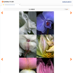 [팬픽] 팬픽자위 말나오니까 반응 폭발이네