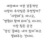 [레이] 힘들어하는겸순이들에게