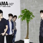 [EXO] 이 짤 <b>자연</b>스러운데 웃김ㅋㅋㅋㄱㄲ