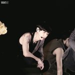 [뉴트] 테런 <b>본캐</b>vs부캐뭘로들갈지추천좀