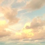 [꼭봐주세요] 심각히 이기적인 같은반 아이. 제발 도와주세요.