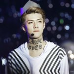 [EXO] 세훈이가<b>홈마보정</b>빨이라니