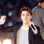 [EXO] 어떤년이내닉네임따라서댓글쓰고<b>다님</b>?