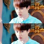 [뉴트] 저 한시간 뒤에 시내감