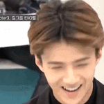 [EXO] 행복하다