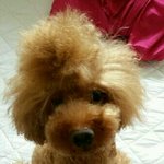 [EXO] 야 <b>내</b><b>폰</b>