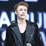 [EXO] 아 제발 어깨 전문가 있나요? 제발
