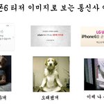 <b>도도</b>한 개와 오래된 개 사이에 낄 수 있을까