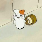 [뉴트] 혜리 치카치카 하구 오껭